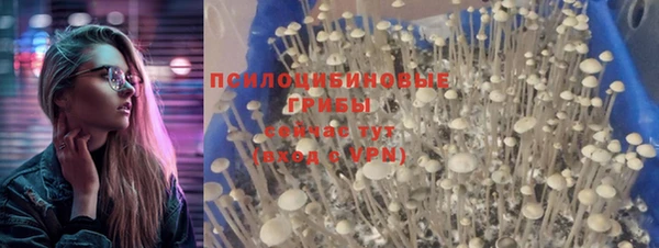 apvp Балабаново